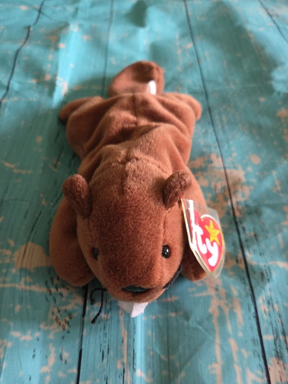 Ty Bucky Beanie Baby